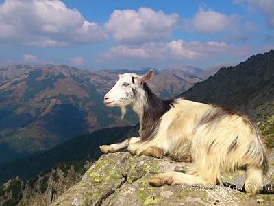 Korsika – přechod Gr 20